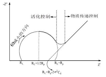 着力优化我国现代化城市体系