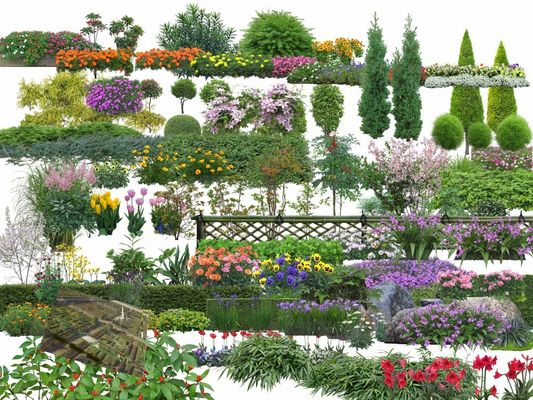 高温“烤”验园林绿地养护这样做……